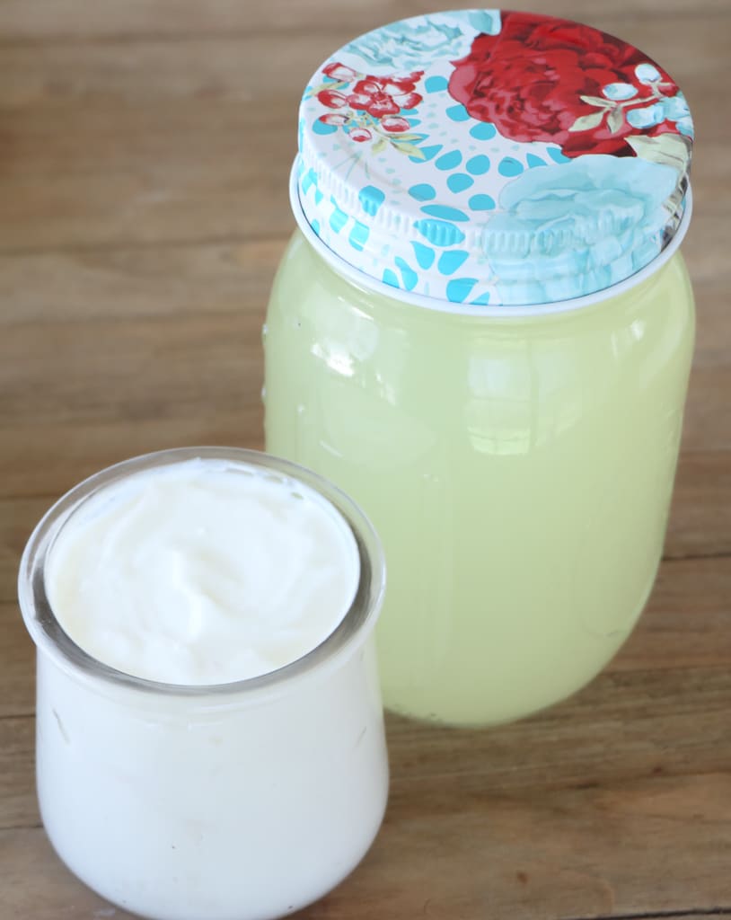 instant pot yogurt recipe whey